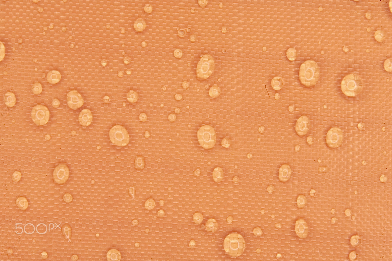 Canon EOS 5D + Tamron SP AF 90mm F2.8 Di Macro sample photo. Orangedrops photography