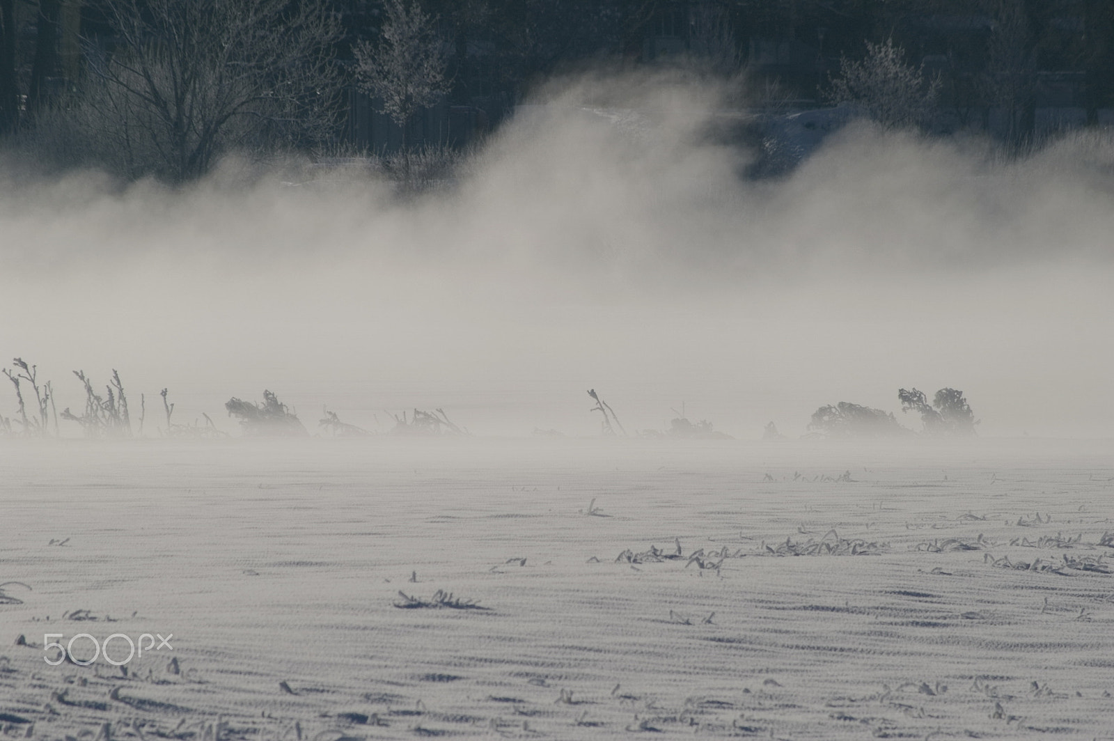 Pentax K100D Super + Pentax smc DA 50-200mm F4-5.6 ED sample photo. Snow storm in landscape photography