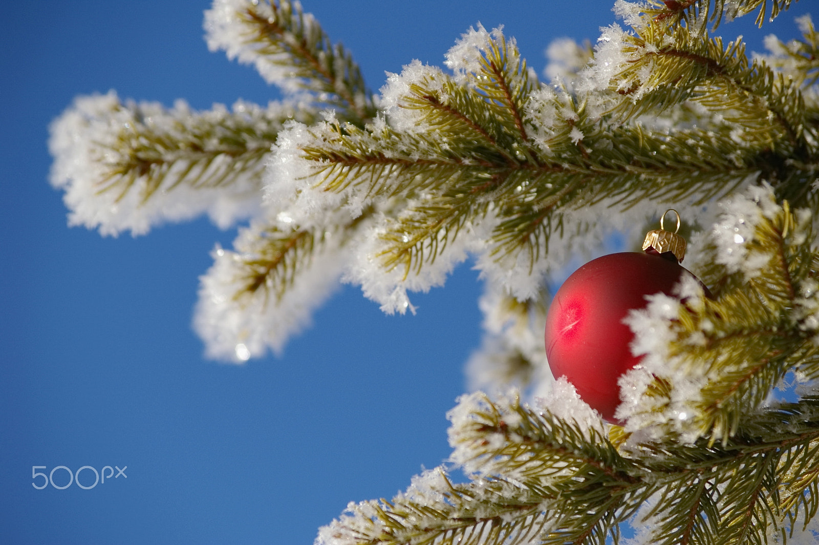 Pentax smc DA 50-200mm F4-5.6 ED sample photo. Bauble photography
