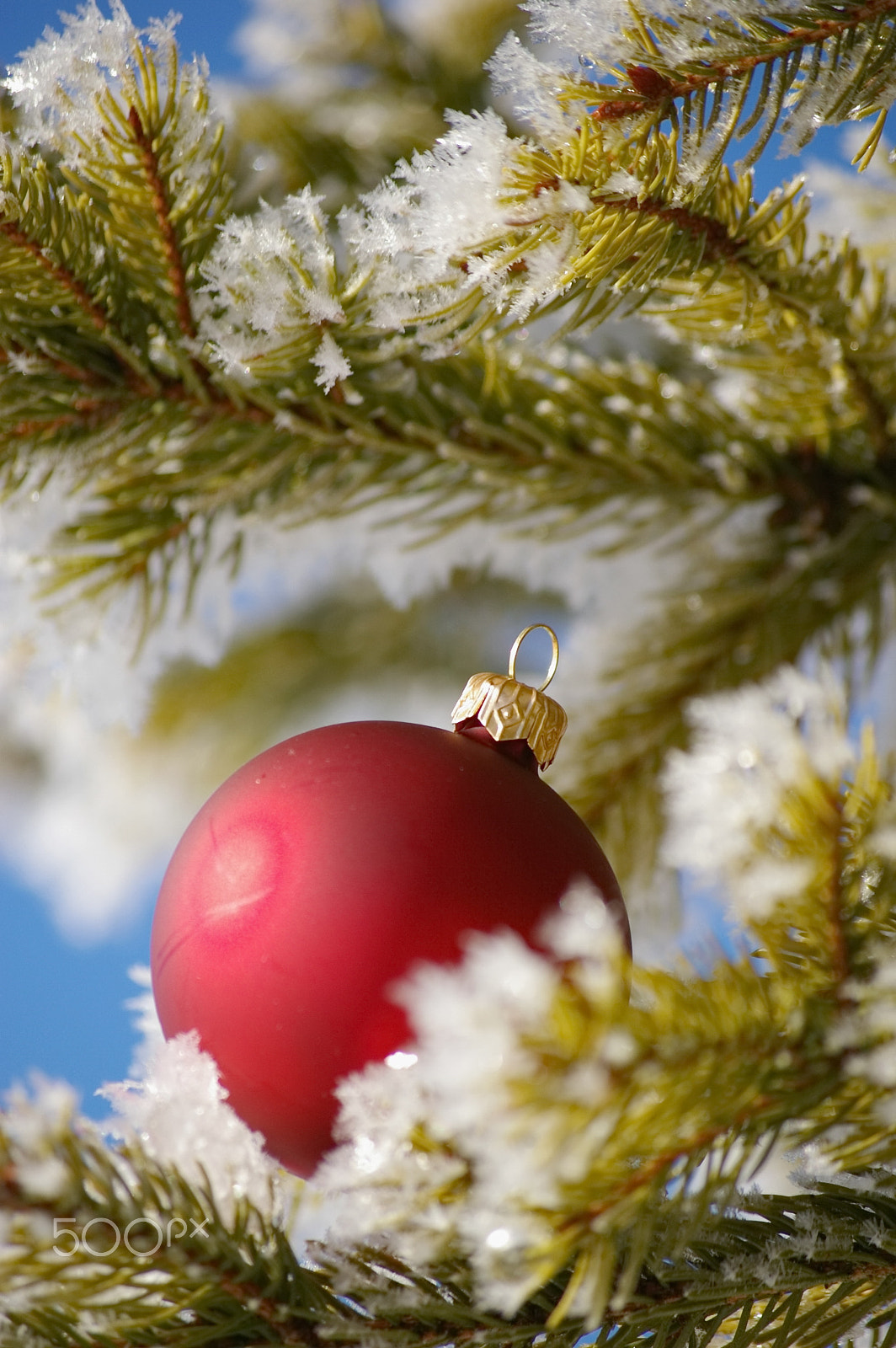 Pentax smc DA 50-200mm F4-5.6 ED sample photo. Bauble photography