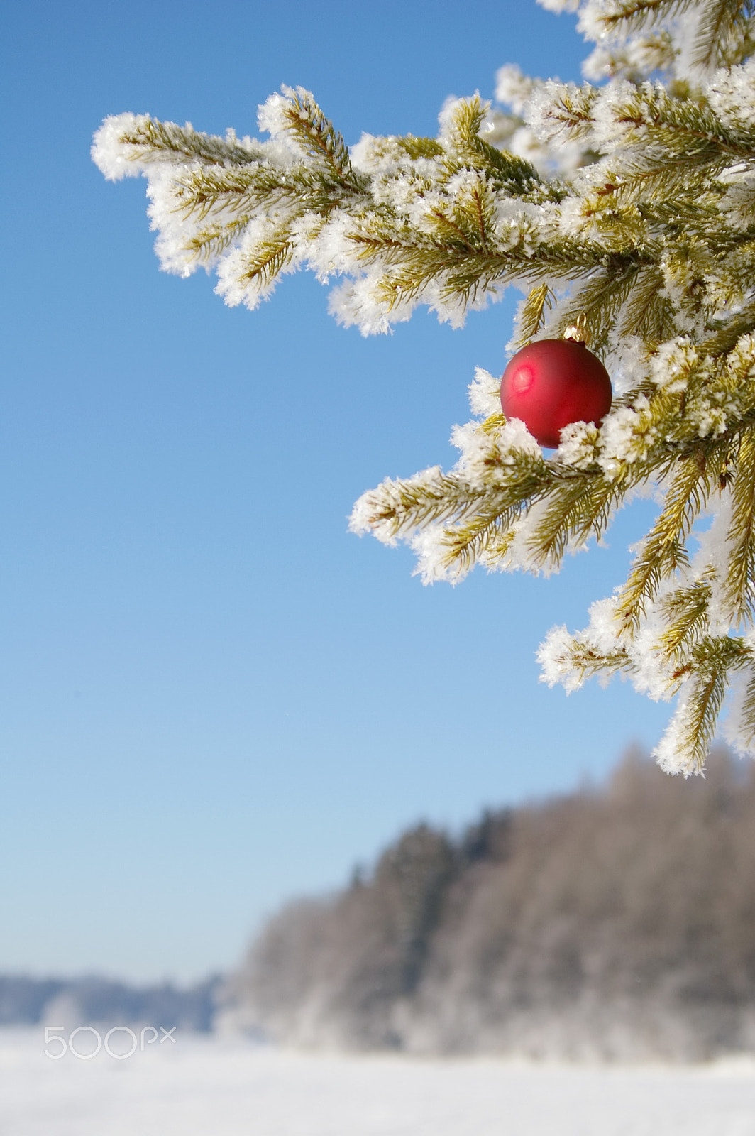 Pentax K100D Super + Pentax smc DA 50-200mm F4-5.6 ED sample photo. Bauble photography