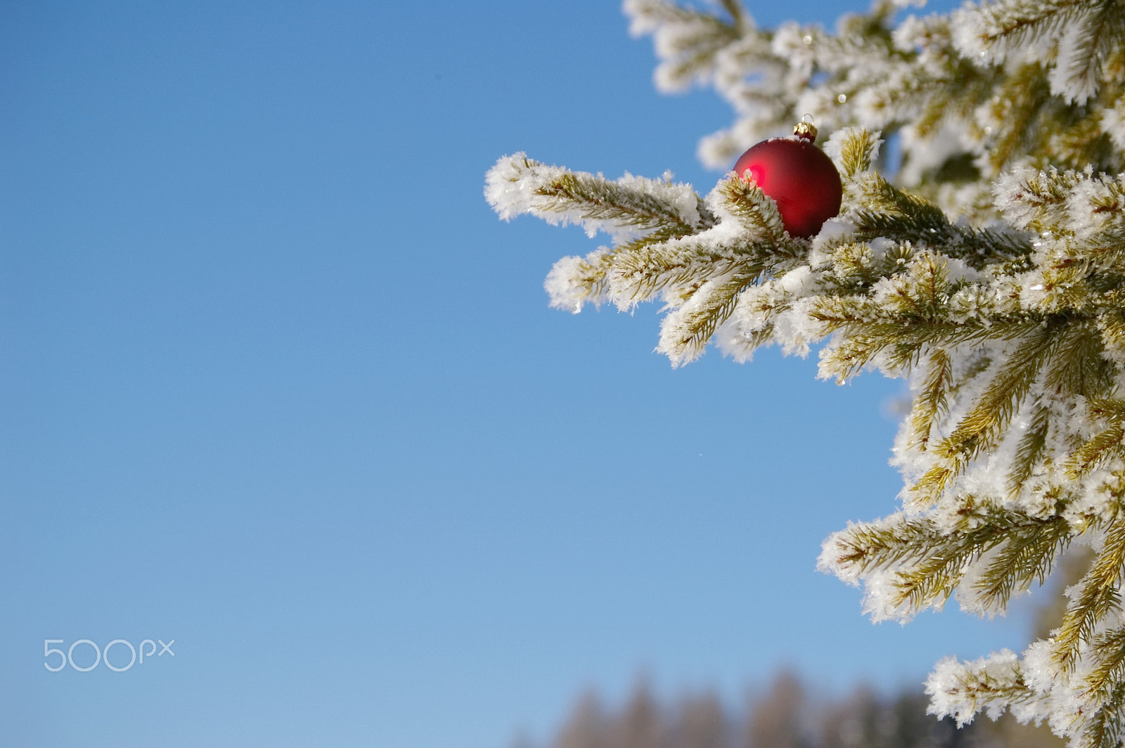 Pentax smc DA 50-200mm F4-5.6 ED sample photo. Bauble photography
