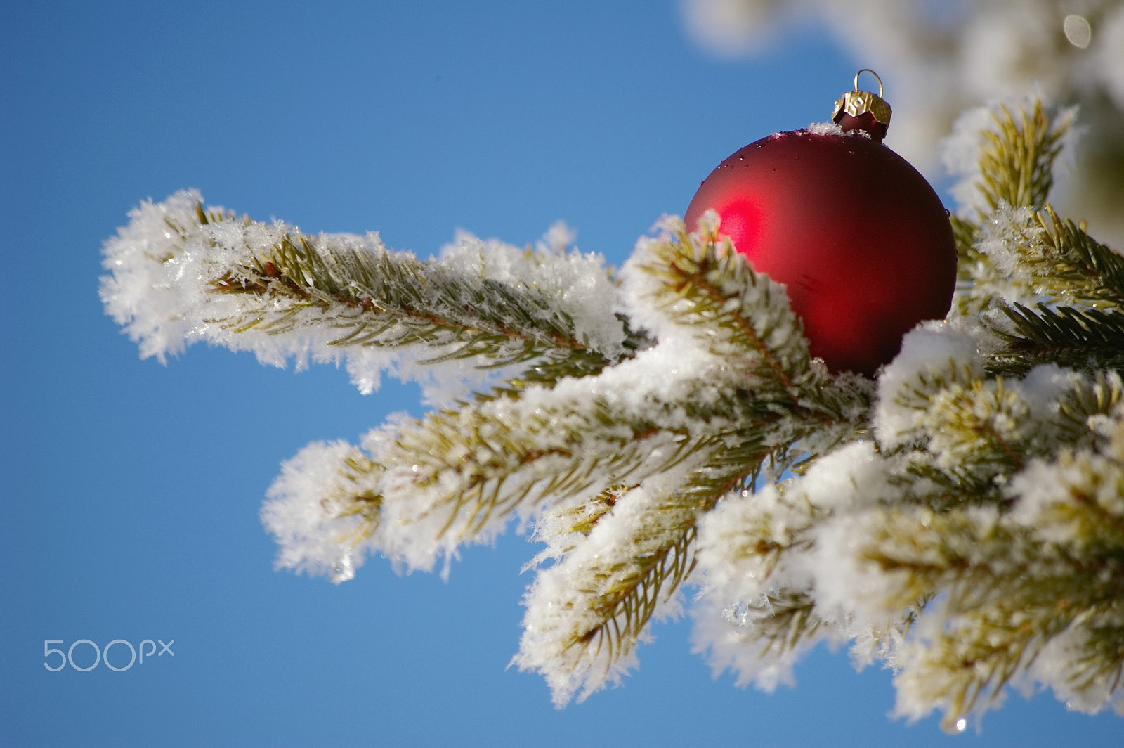 Pentax smc DA 50-200mm F4-5.6 ED sample photo. Bauble photography