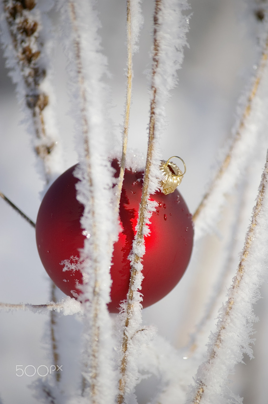 Pentax K100D Super + Pentax smc DA 50-200mm F4-5.6 ED sample photo. Bauble photography