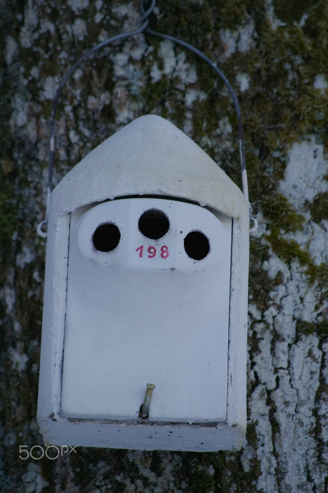 Pentax smc DA 50-200mm F4-5.6 ED sample photo. Birdhouse photography
