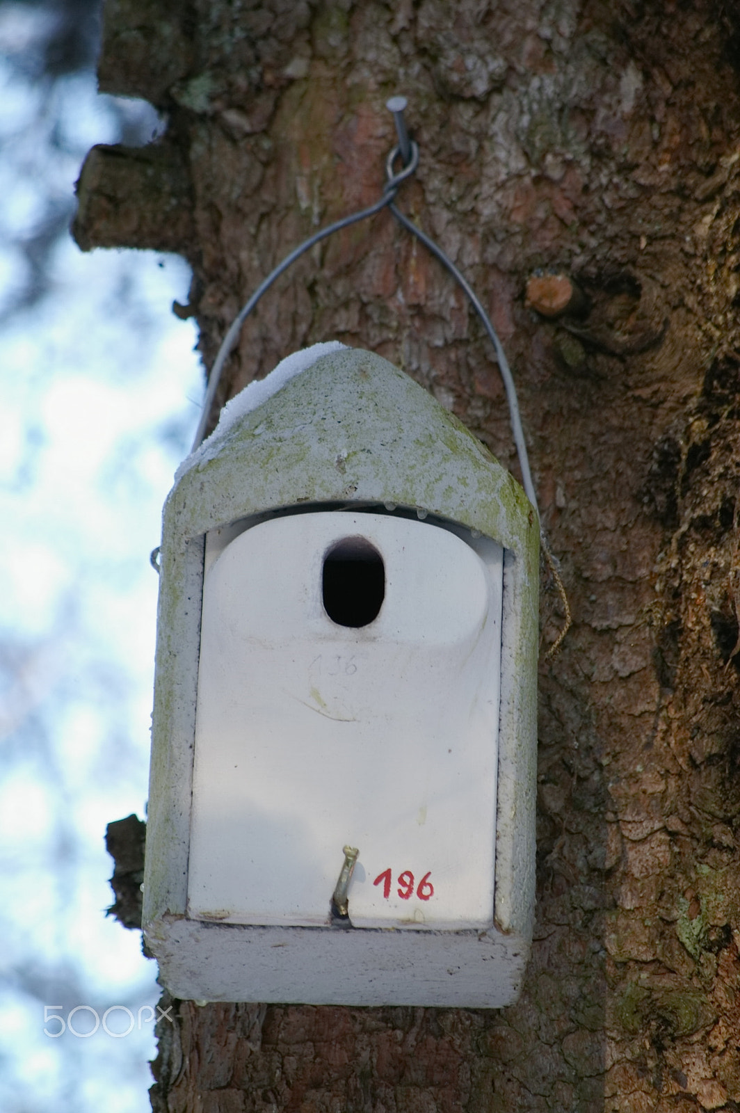 Pentax K100D Super + Pentax smc DA 50-200mm F4-5.6 ED sample photo. Birdhouse photography