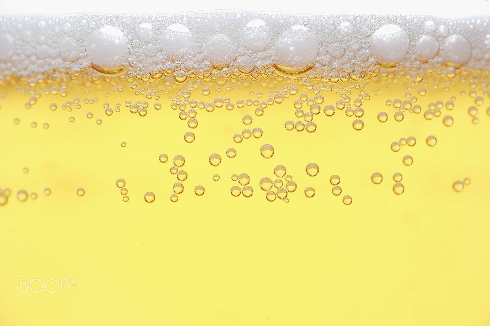 Canon EOS 5D + Tamron SP AF 90mm F2.8 Di Macro sample photo. Pouring beer into glass on white background photography