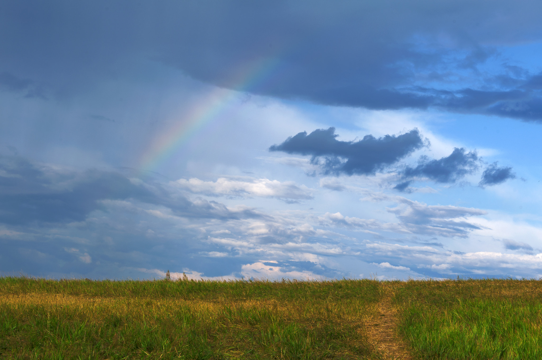 Nikon D700 + AF Zoom-Nikkor 70-210mm f/4 sample photo. A rainbow appeared on the prairie photography