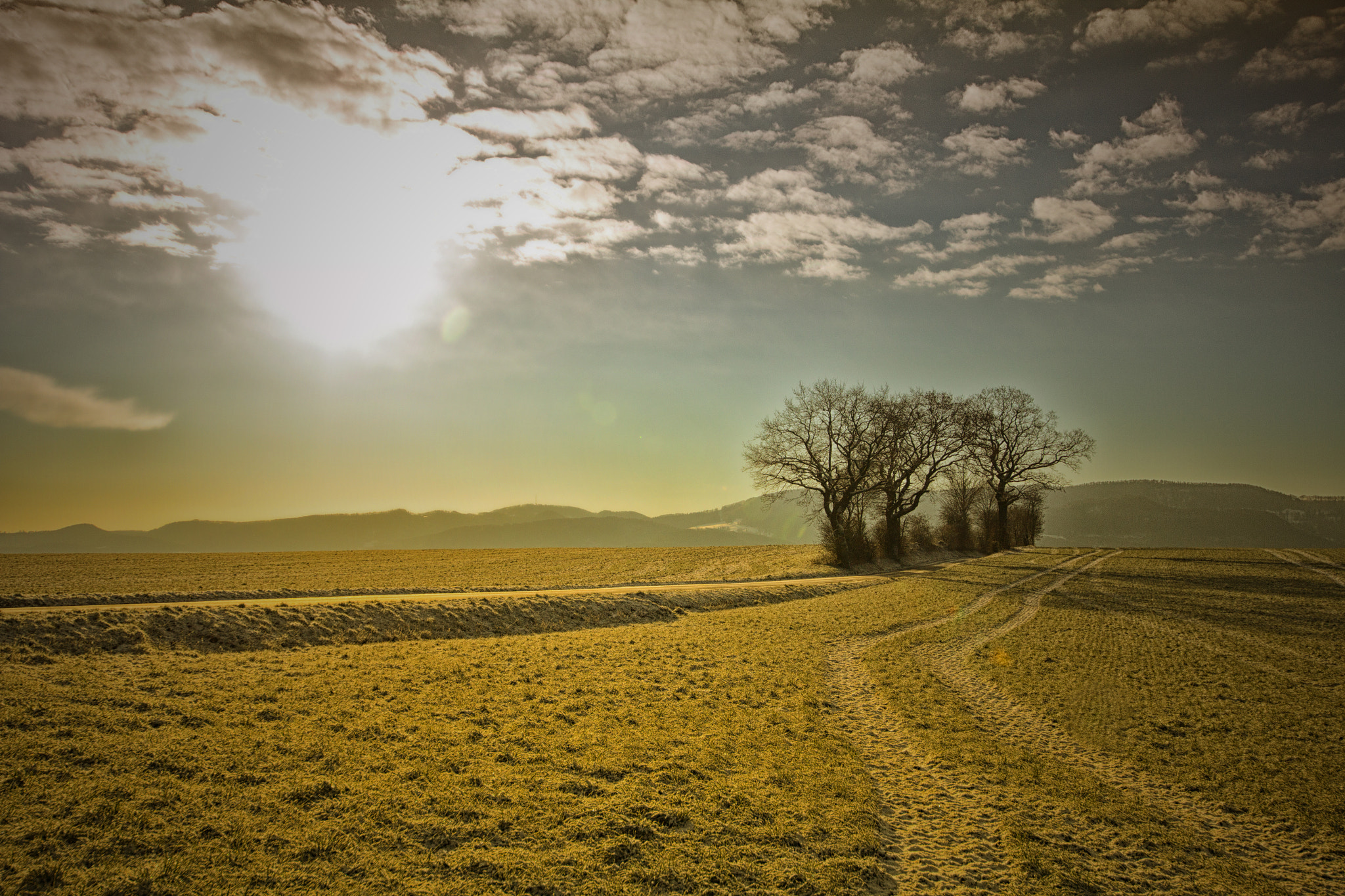 Sigma 12-24mm F4.5-5.6 II DG HSM sample photo. Alle ccoeuve photography