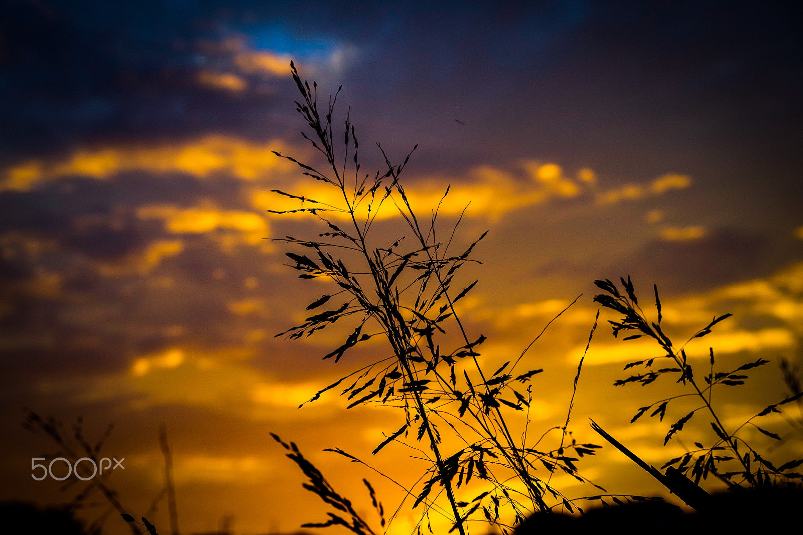 Pentax K-S1 sample photo. Dramatic sky photography