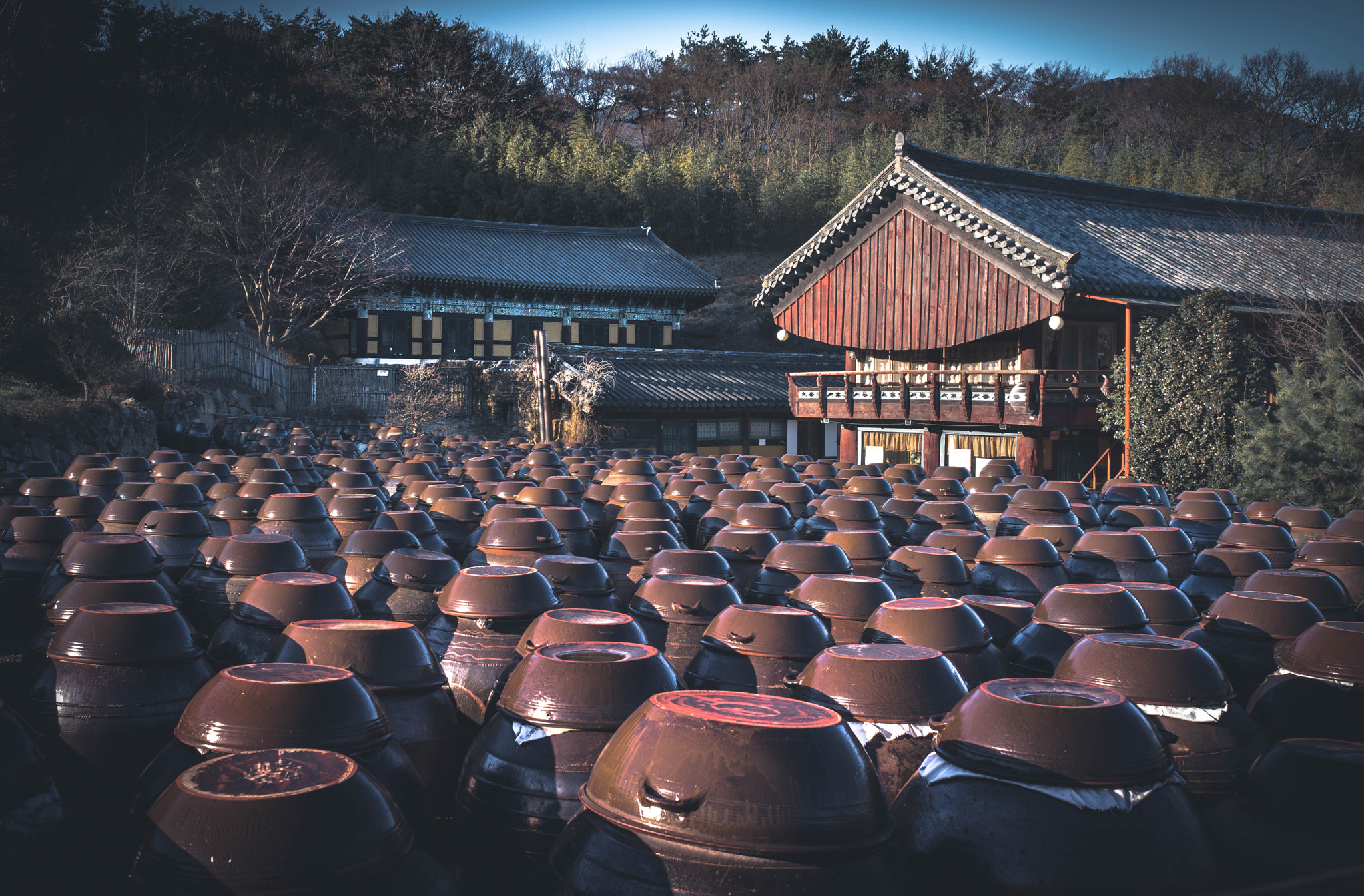 Sony a7R II + Sigma 35mm F1.4 DG HSM Art sample photo. Korea travel photography