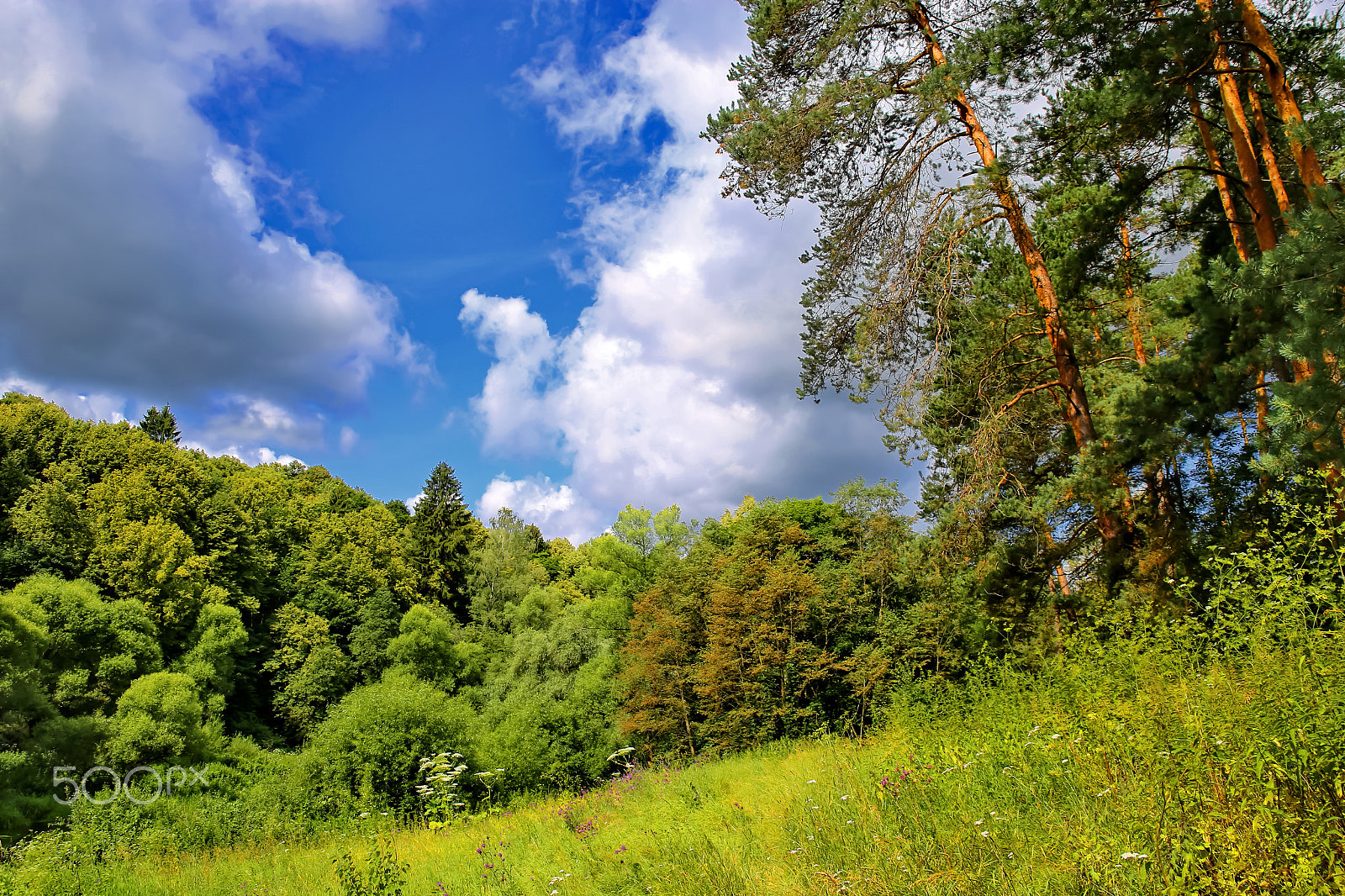 Canon EF 28-80mm f/2.8-4L sample photo. Summer landskape photography