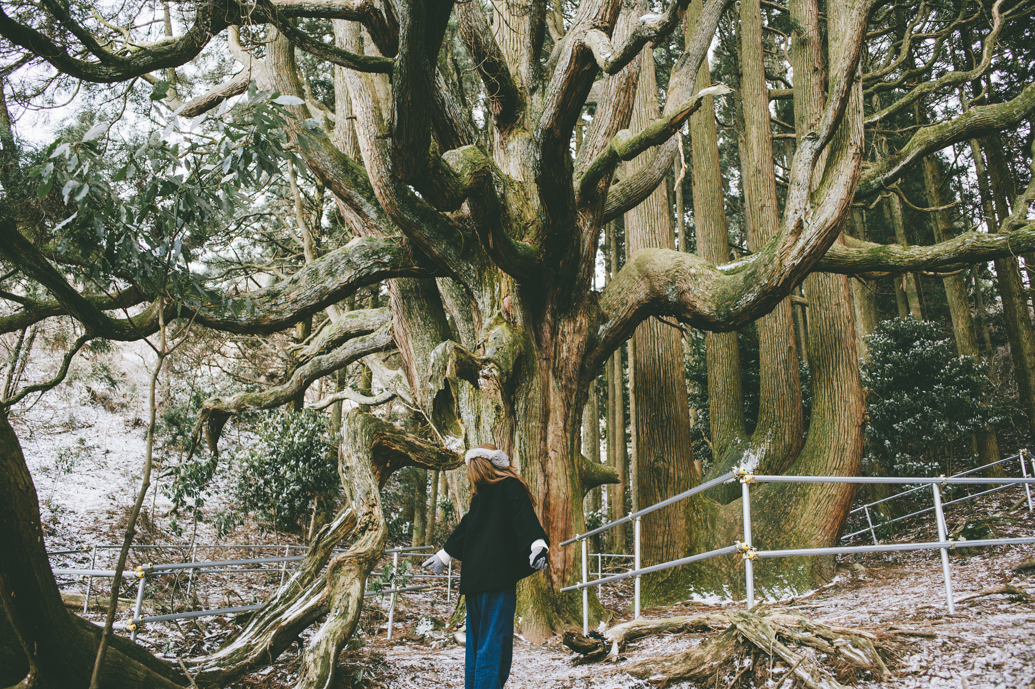Nikon Df sample photo. Sacred place 神聖な場所 photography