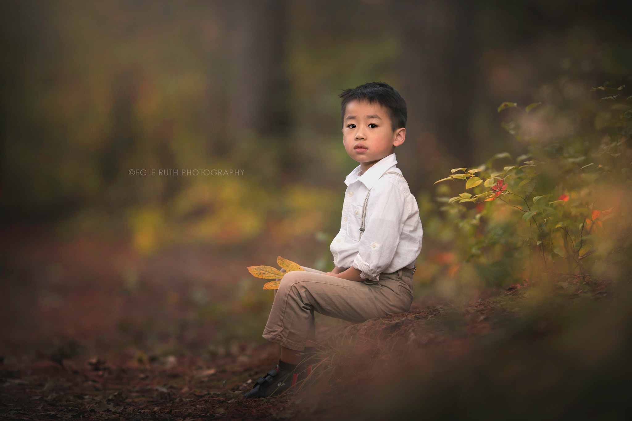 Nikon AF-S Nikkor 200mm F2G ED VR II sample photo. Quite photography