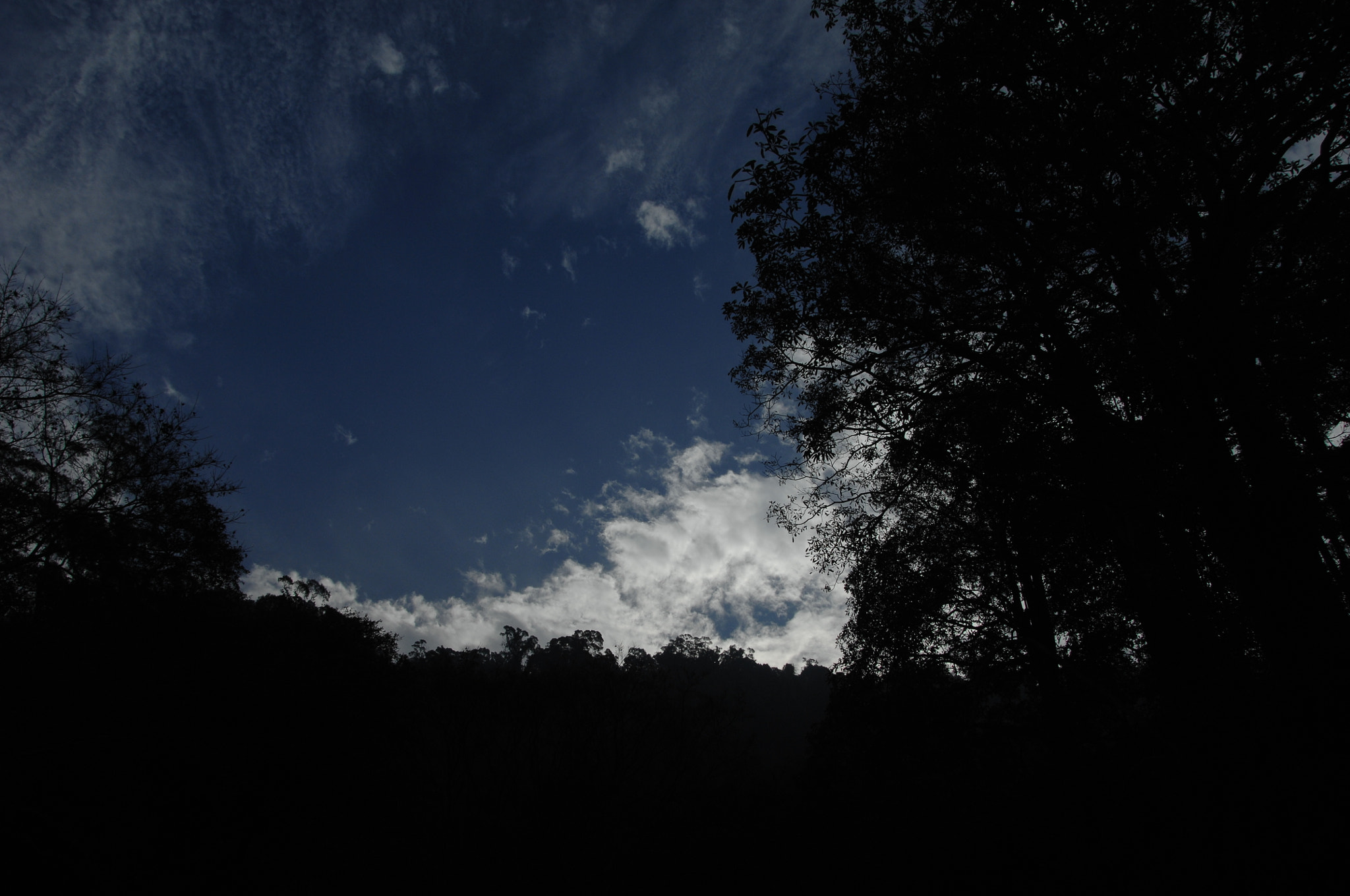 Nikon D2X sample photo. .. photography