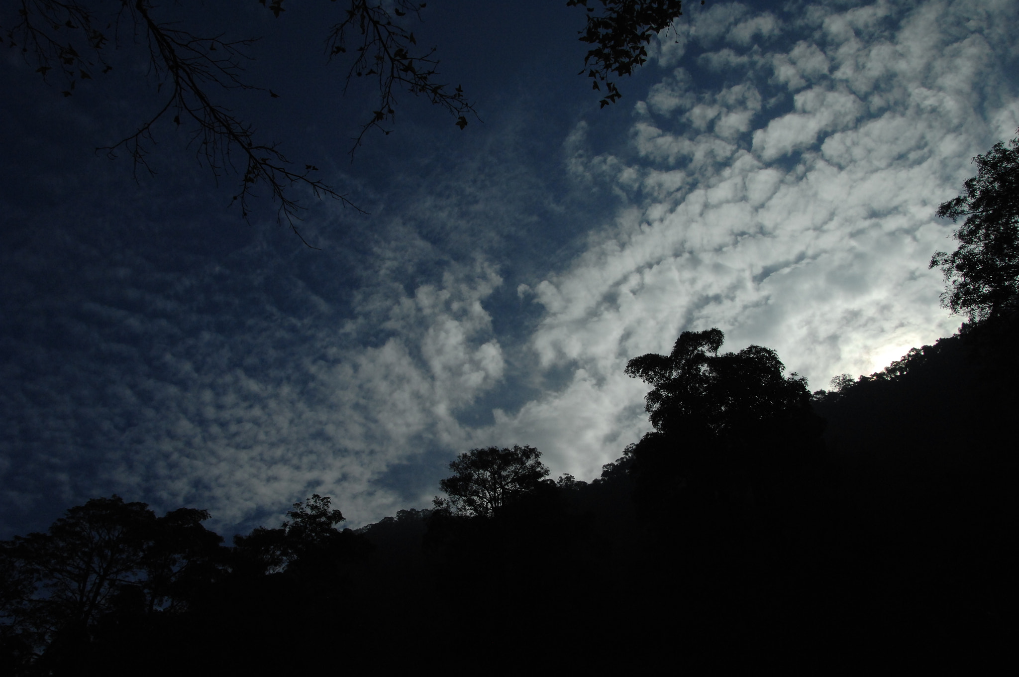 Nikon D2X sample photo. .. photography