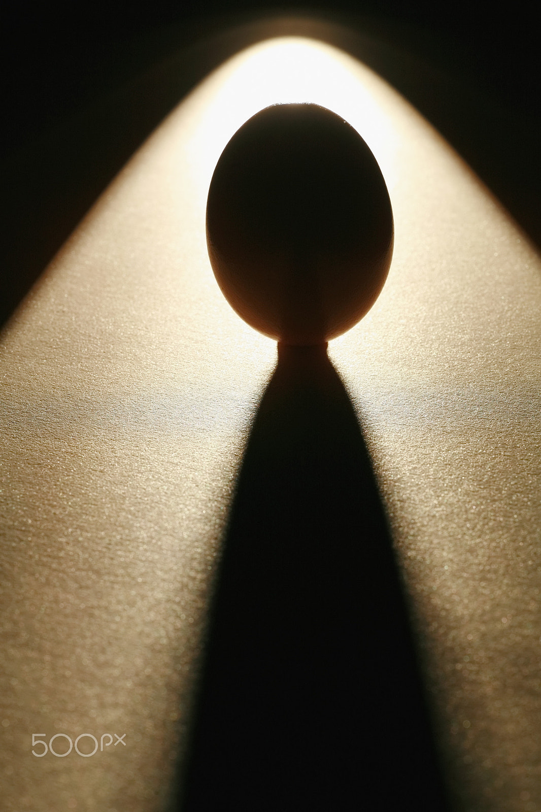 Canon EOS 5D + Tamron SP AF 90mm F2.8 Di Macro sample photo. Big egg star mystic photography