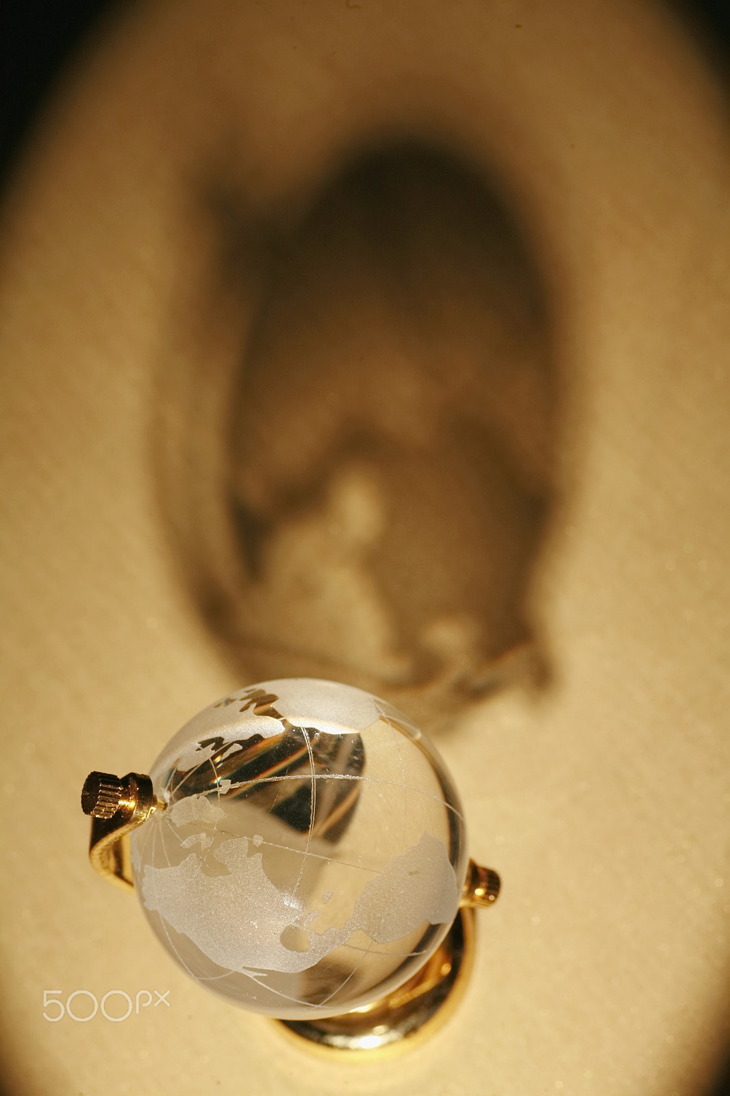 Canon EOS 5D + Tamron SP AF 90mm F2.8 Di Macro sample photo. Globe shadow photography