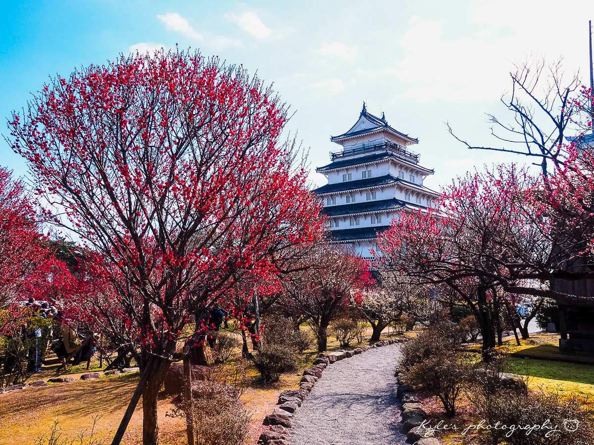 Olympus OM-D E-M1 + Olympus Zuiko Digital 14-54mm F2.8-3.5 II sample photo. 島原城 photography