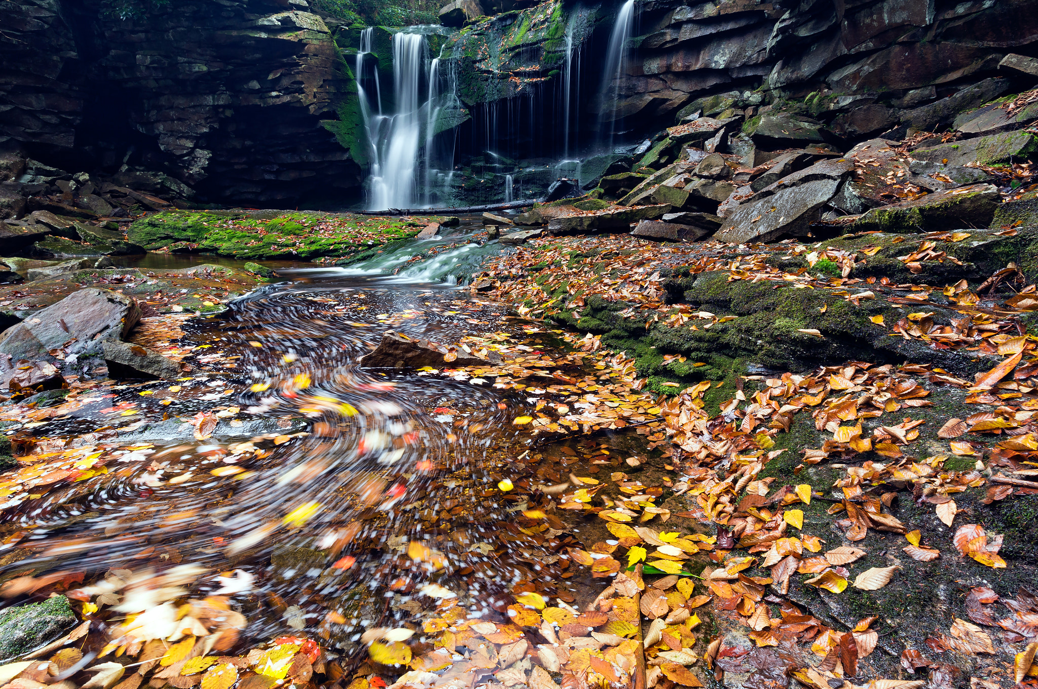 Canon EOS 6D + Canon EF 16-35mm F2.8L USM sample photo. Elakala falls - canaan valley, west virginia photography