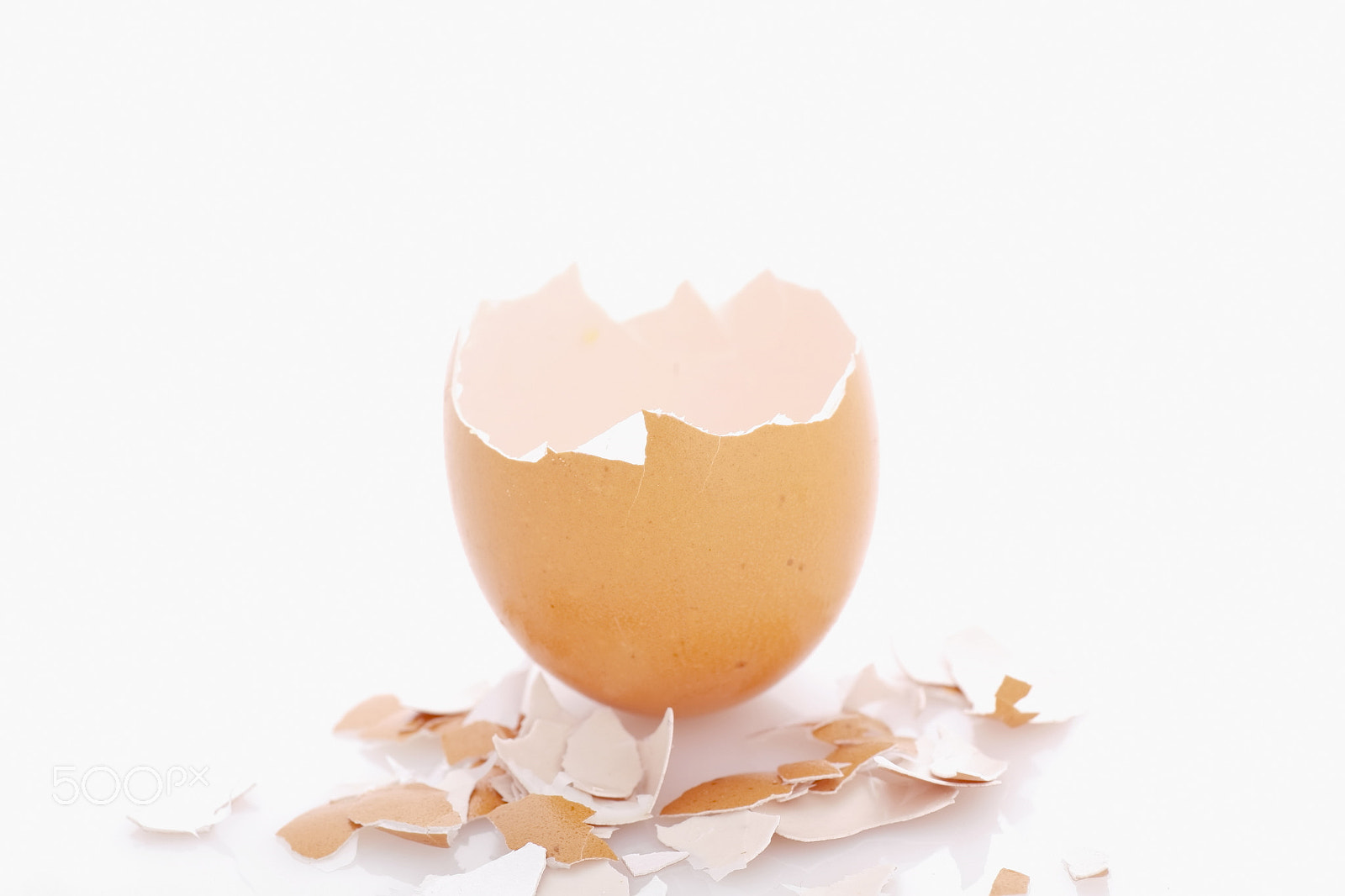 Canon EOS 5D + Tamron SP AF 90mm F2.8 Di Macro sample photo. Eggshell photography