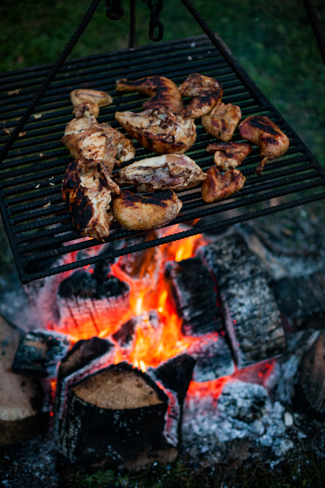 Canon EOS-1Ds Mark III + Canon EF 50mm F1.4 USM sample photo. Chicken grilled over a fire photography