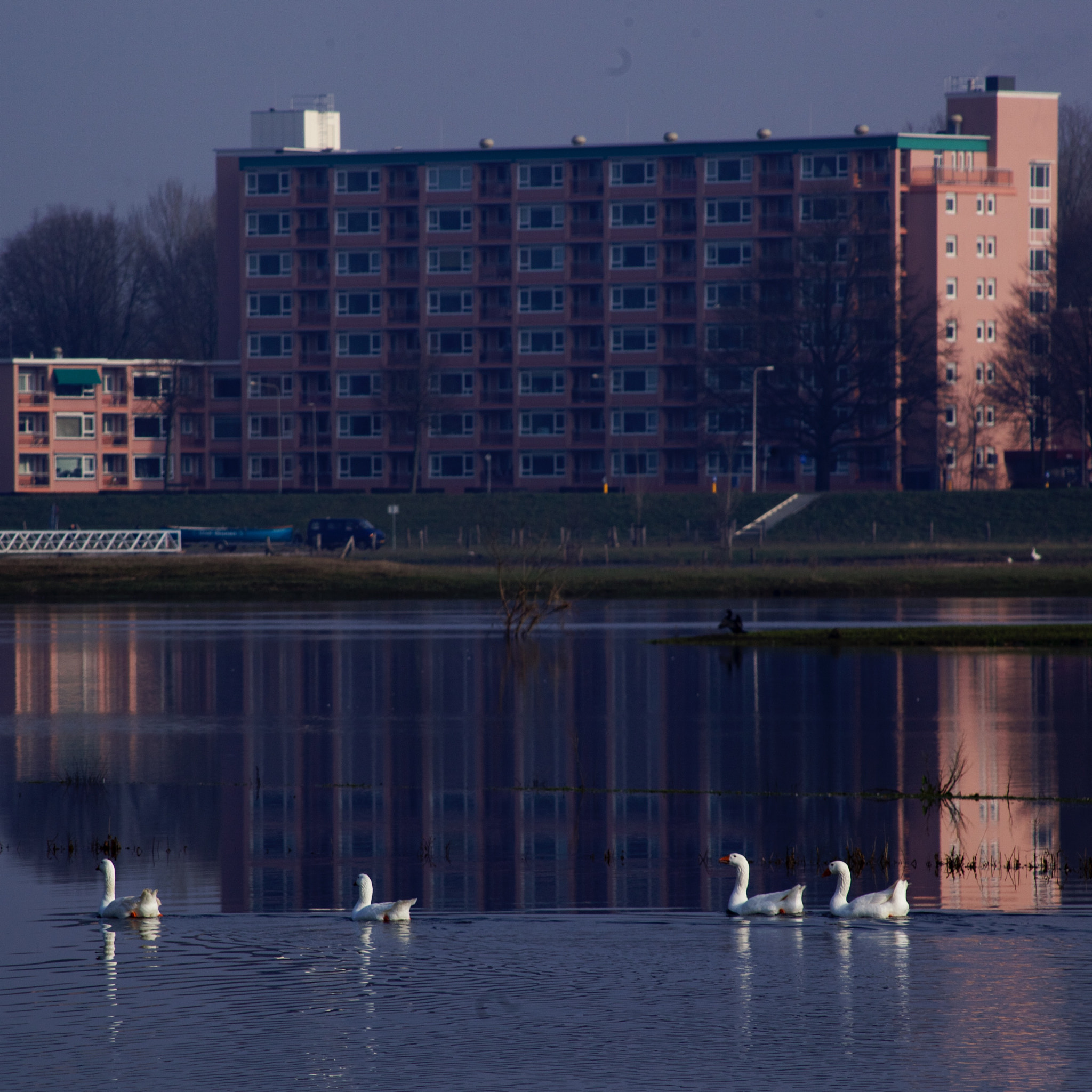 Canon EF 100-300mm F4.5-5.6 USM sample photo. Discussing cubism photography