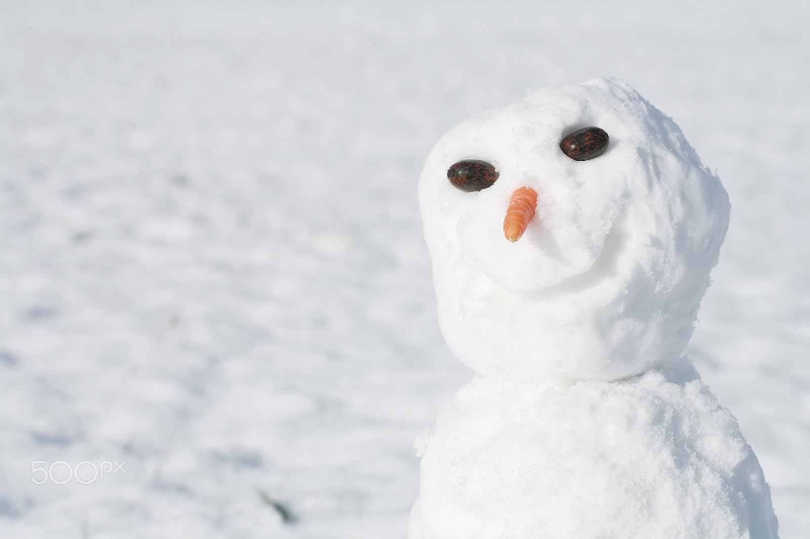 Canon EOS 5D + Tamron SP AF 90mm F2.8 Di Macro sample photo. Snowman photography