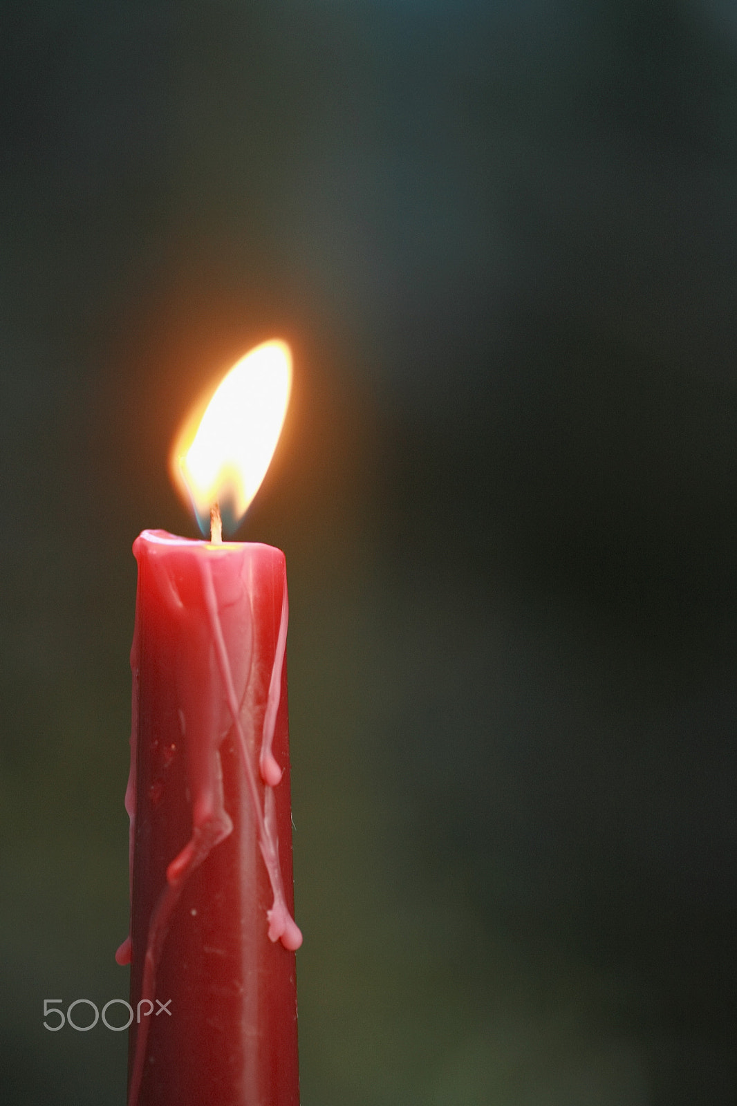 Canon EOS 5D + Tamron SP AF 90mm F2.8 Di Macro sample photo. Candle winter outside photography