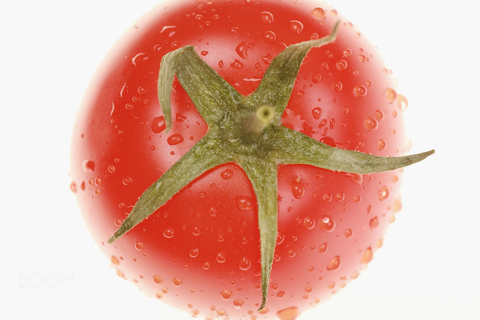 Canon EOS 5D + Tamron SP AF 90mm F2.8 Di Macro sample photo. Tomato photography