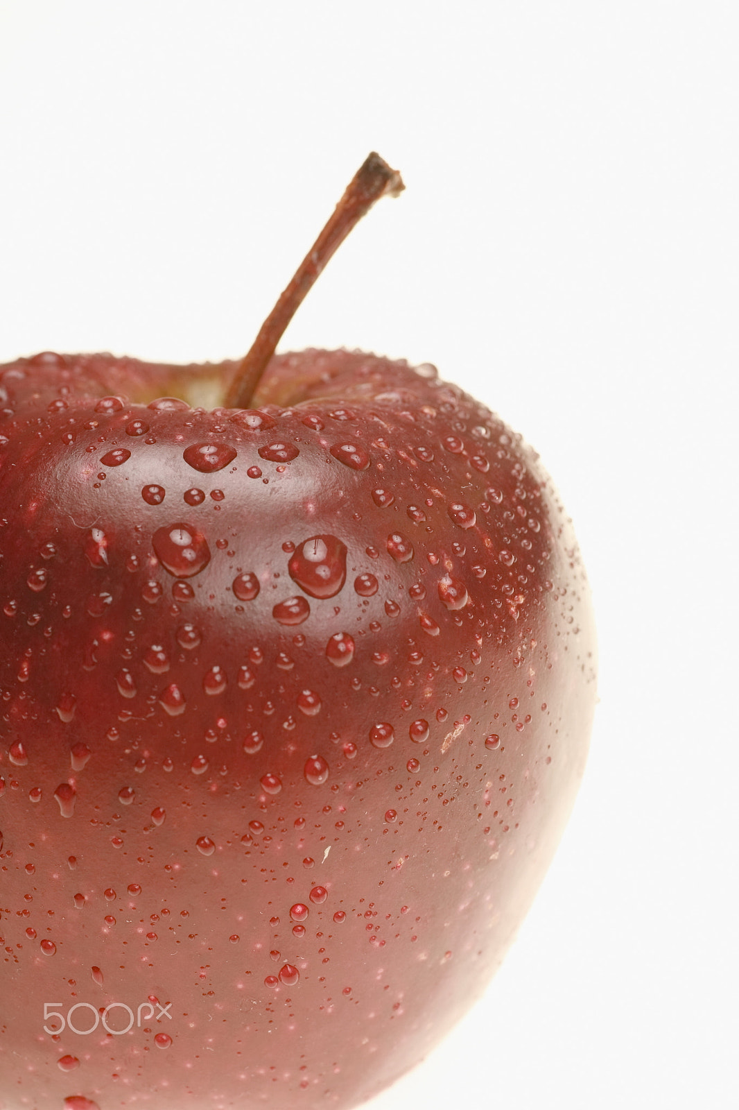 Canon EOS 5D + Tamron SP AF 90mm F2.8 Di Macro sample photo. Apple photography