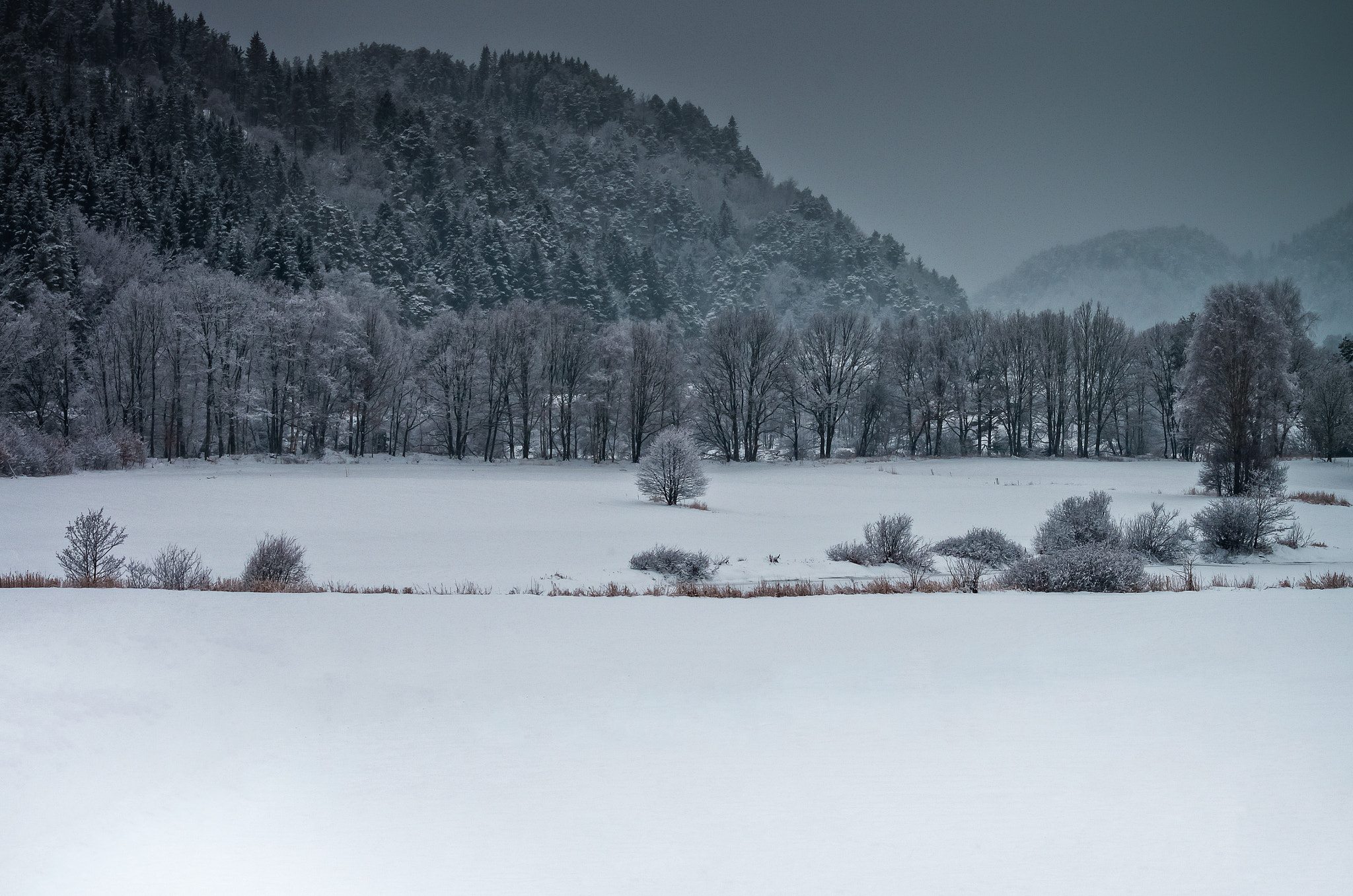 Pentax K-5 II + Sigma 70-300mm F4-5.6 DG OS sample photo. Winter in norway photography