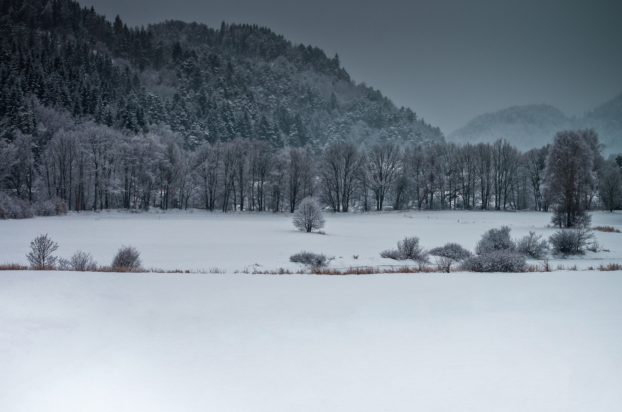 Sigma 70-300mm F4-5.6 DG OS sample photo. Winter in norway photography