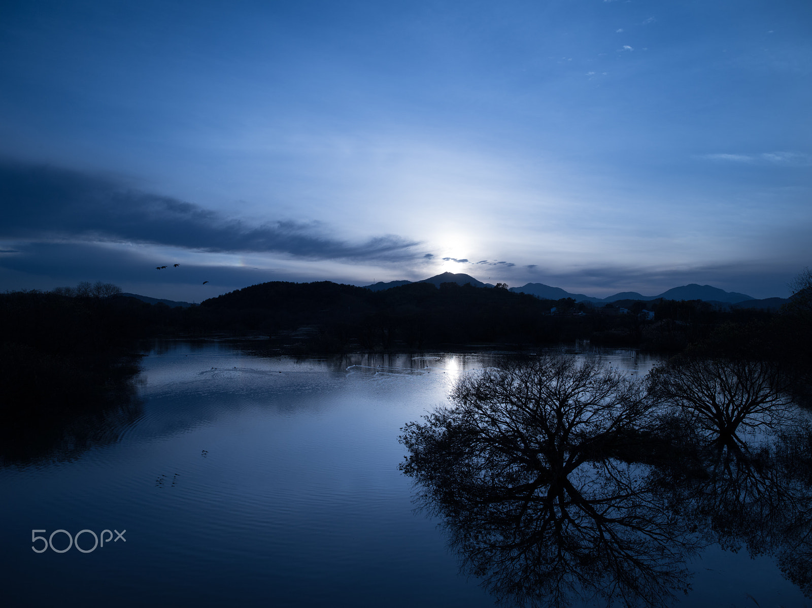 HD Pentax-DA645 28-45mm F4.5ED AW SR sample photo. Junam wetland photography