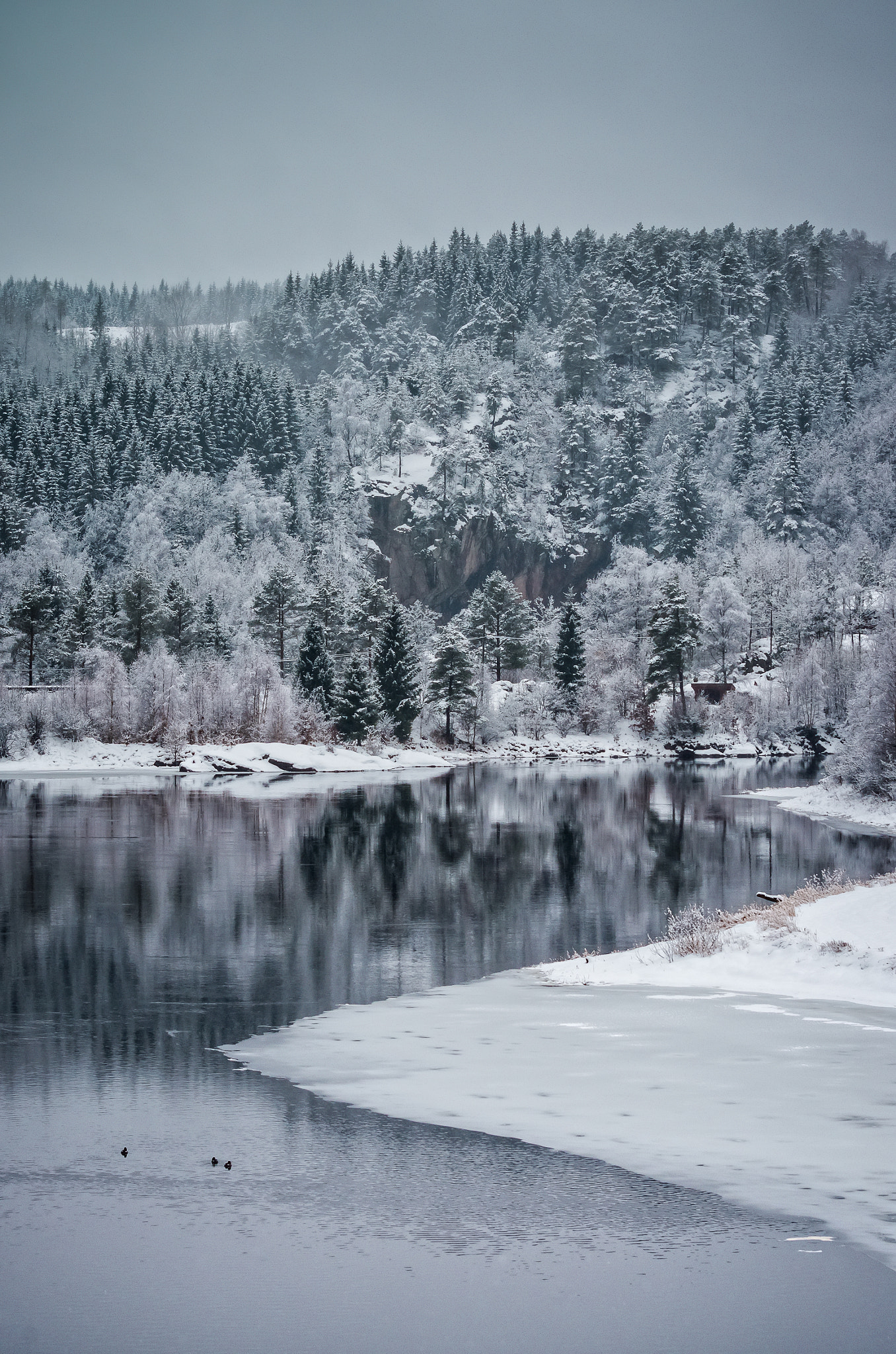 Pentax K-5 II + Sigma 70-300mm F4-5.6 DG OS sample photo. Winter is here photography