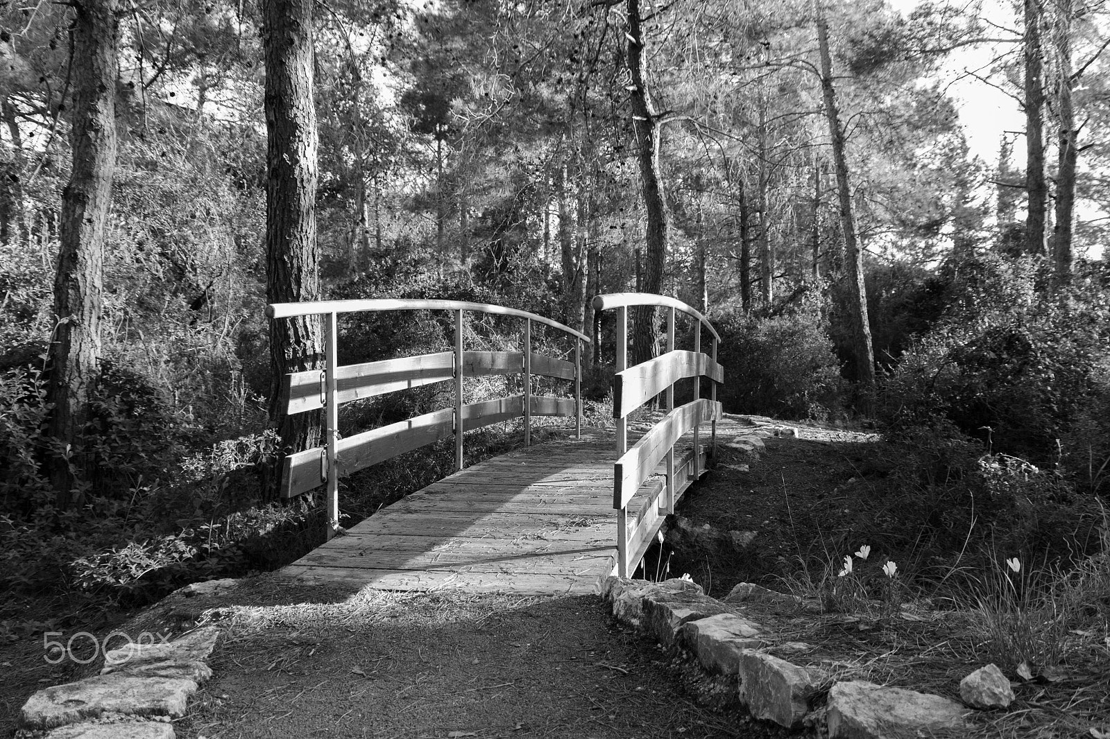 Canon EF 75-300mm F4.0-5.6 IS USM sample photo. The bridge across the stream in the early morning photography