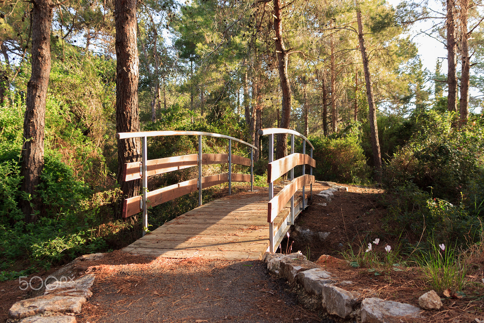 Canon EF 75-300mm F4.0-5.6 IS USM sample photo. The bridge across the stream in the early morning photography