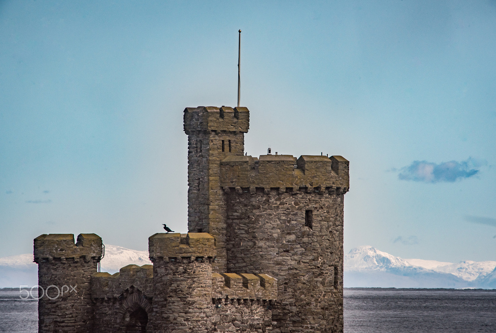 Sigma 70-200mm F2.8 EX DG OS HSM sample photo. Tower of refuge with cormorant photography
