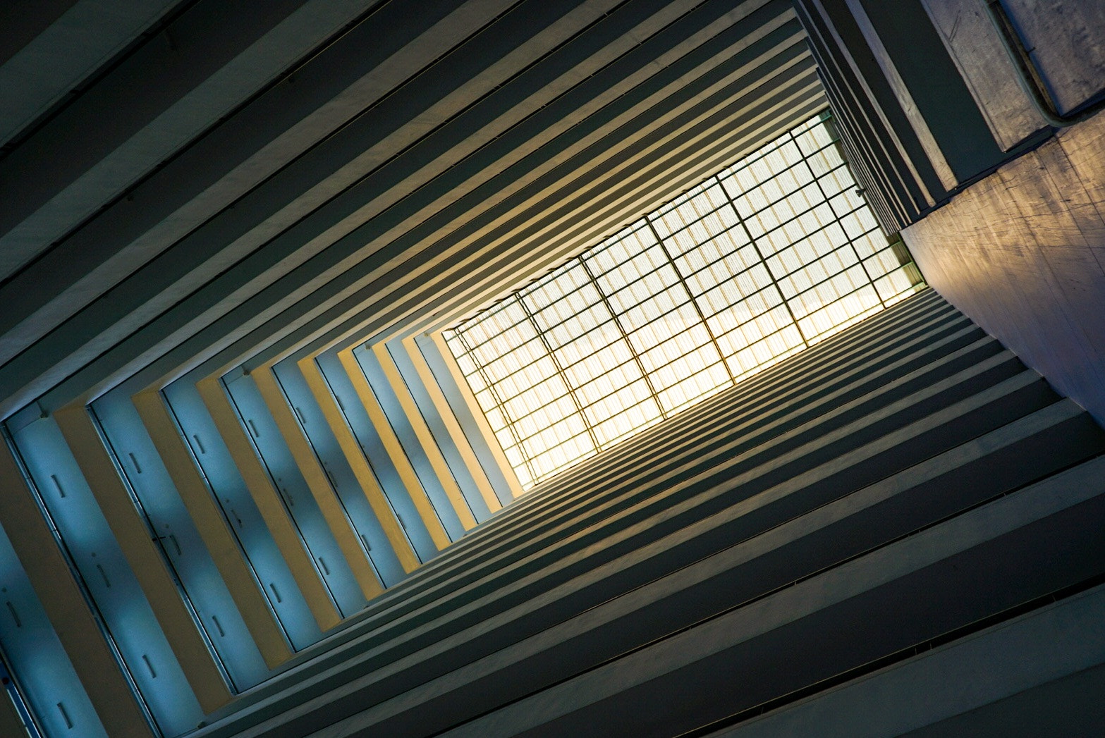 FE 21mm F2.8 sample photo. To the light photography