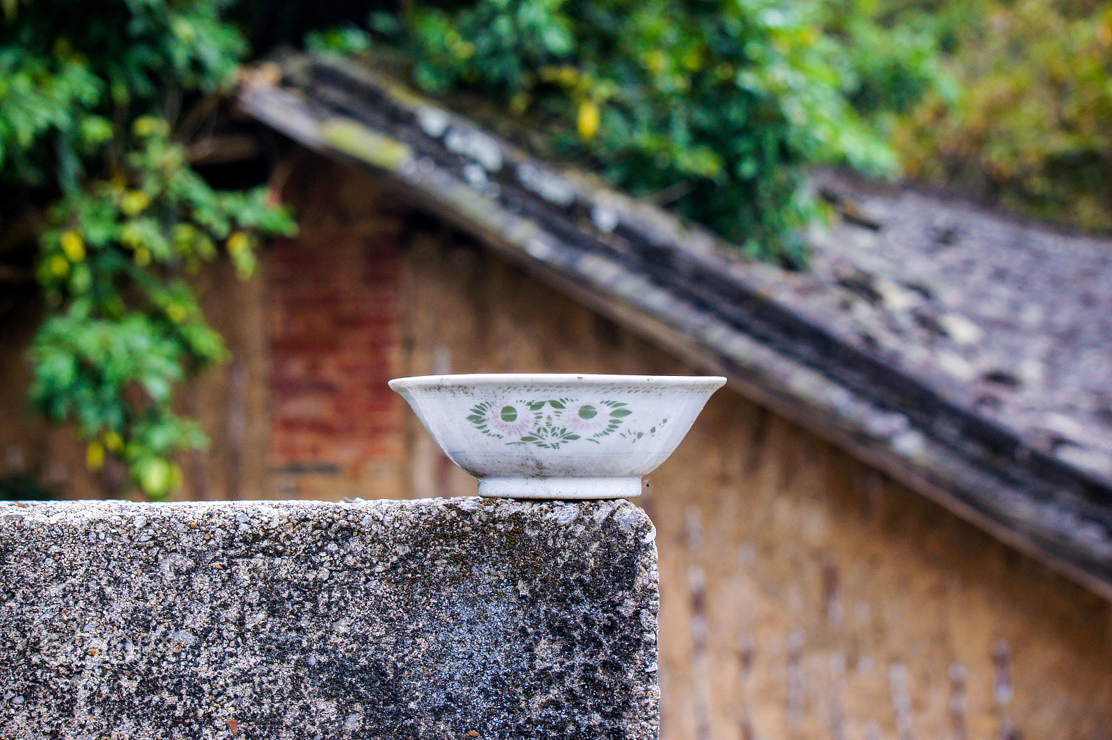 Sony NEX-5C sample photo. The old  bowl photography