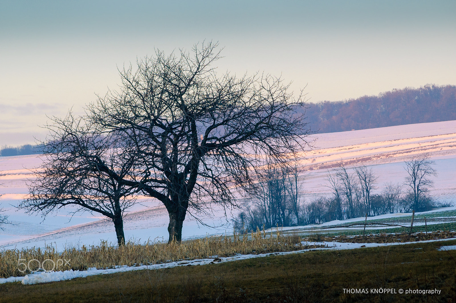 Nikon D70 + AF Nikkor 70-210mm f/4-5.6 sample photo. When the snow melts photography