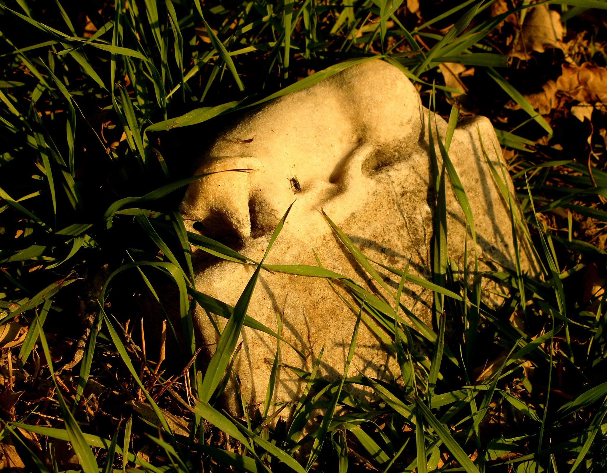 Canon EOS 100D (EOS Rebel SL1 / EOS Kiss X7) sample photo. Tombstone, child photography