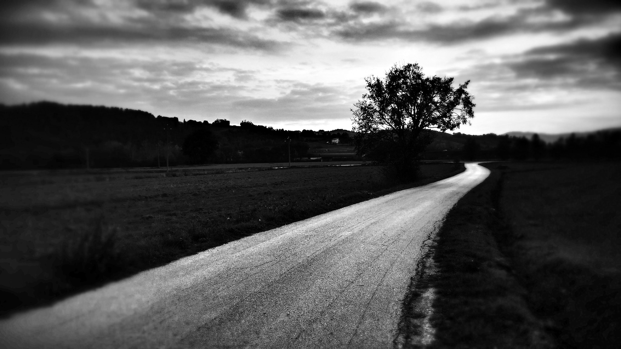 LG D80 sample photo. Road photography