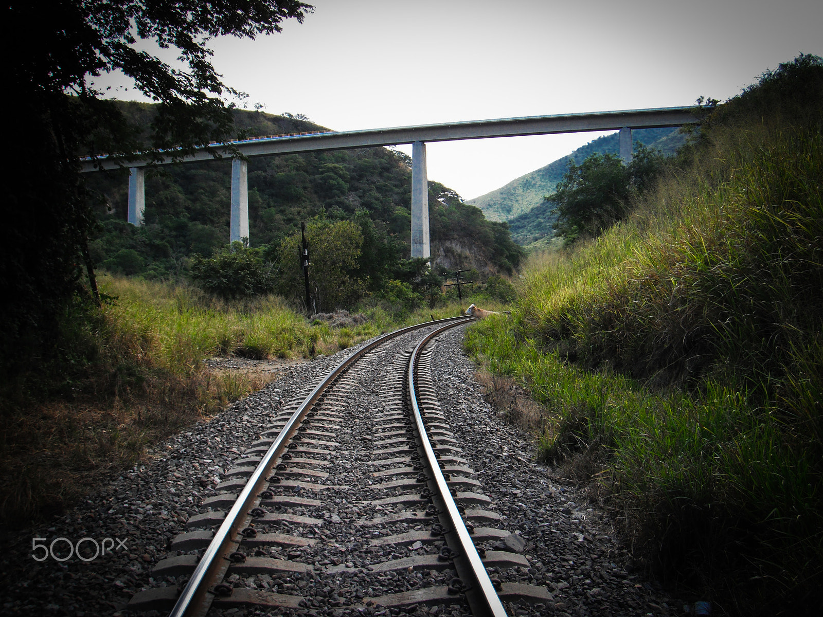 FujiFilm FinePix Z70 (FinePix Z71) sample photo. Bridge over the railroad curve photography
