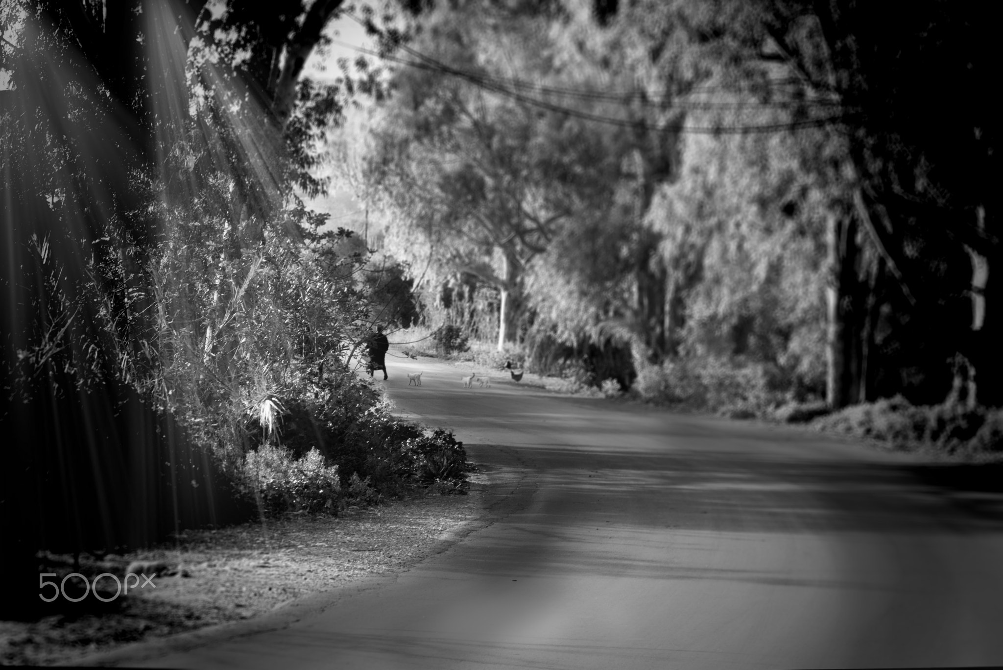 What lies after the turn?