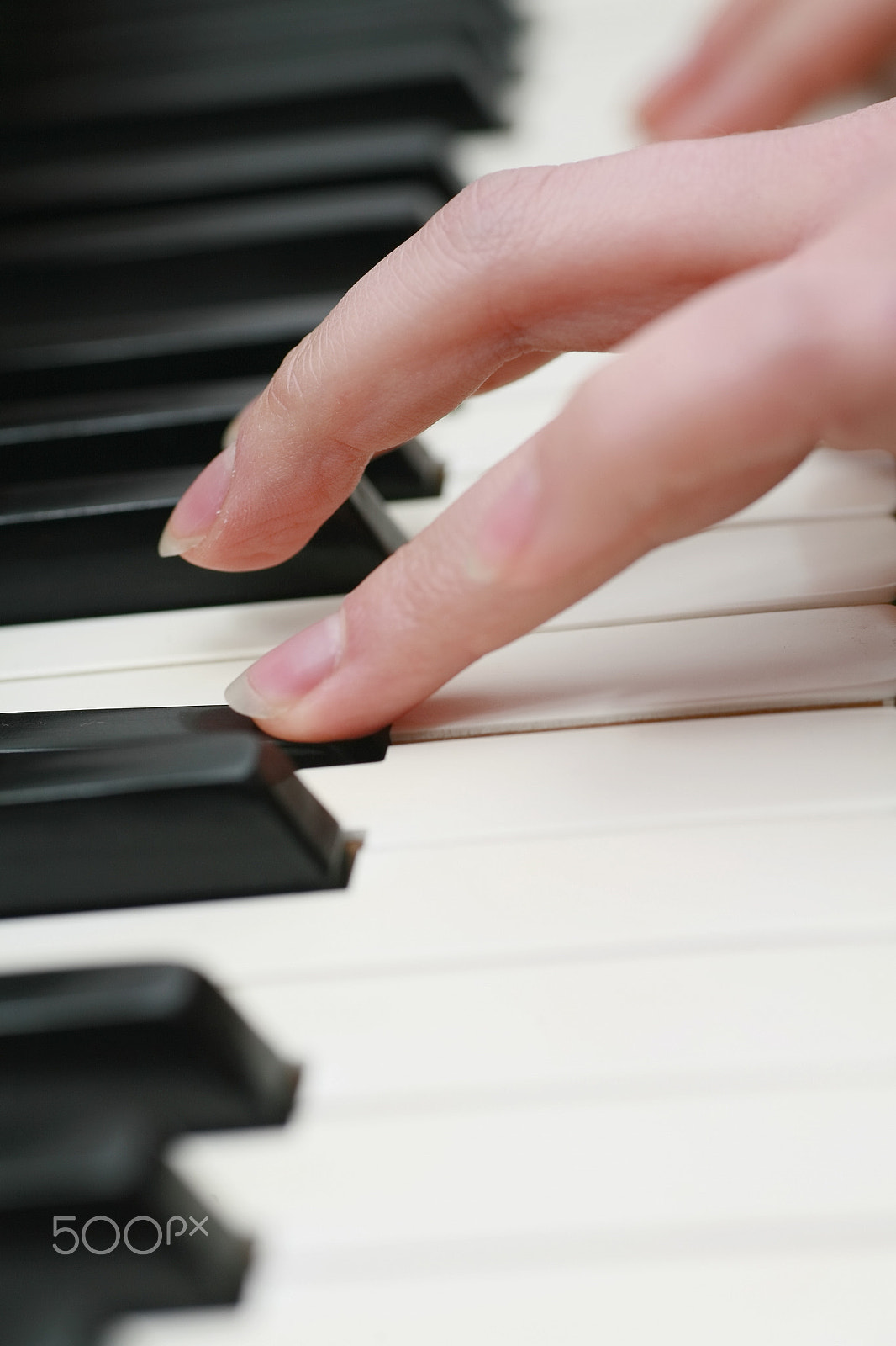Canon EOS 5D + Tamron SP AF 90mm F2.8 Di Macro sample photo. Piano playing photography