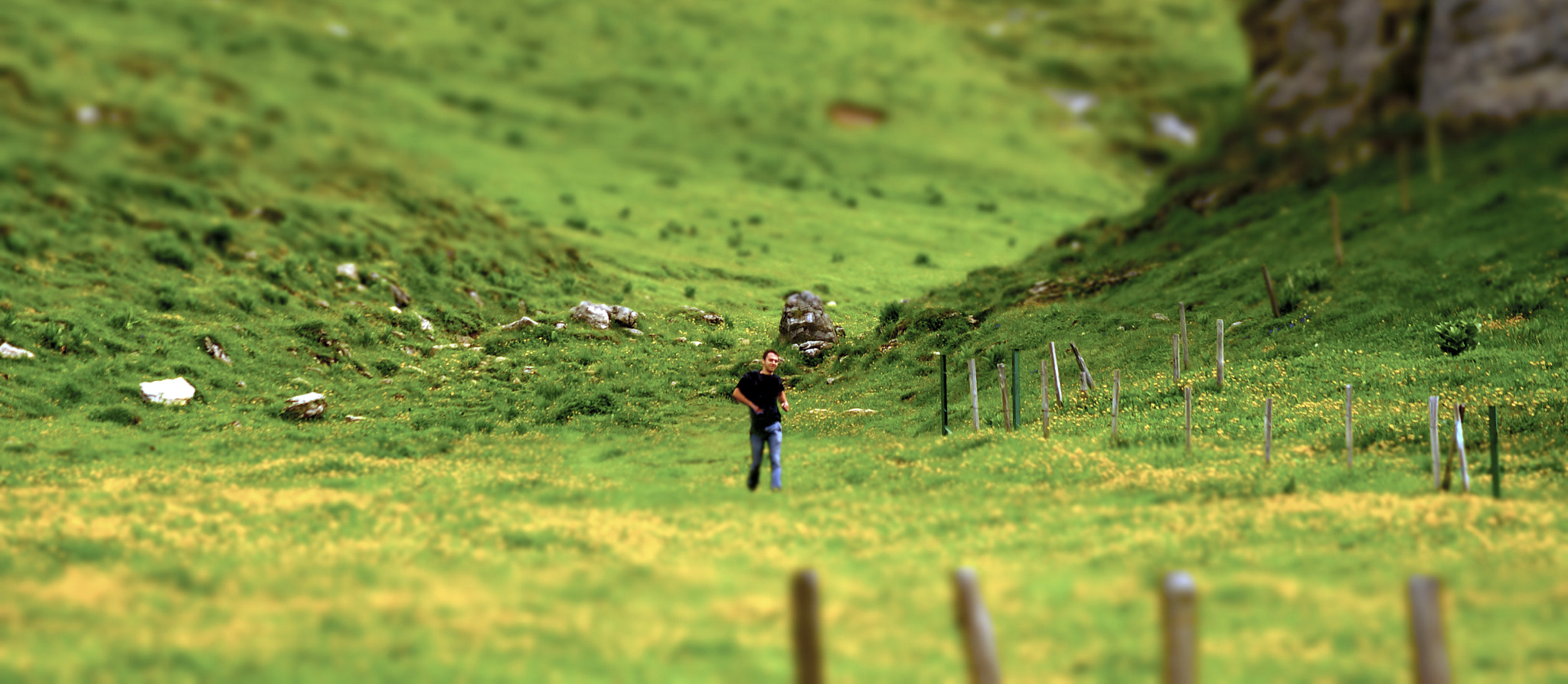 Sony SLT-A57 + Sony DT 55-200mm F4-5.6 SAM sample photo. Alps tiltshift photography