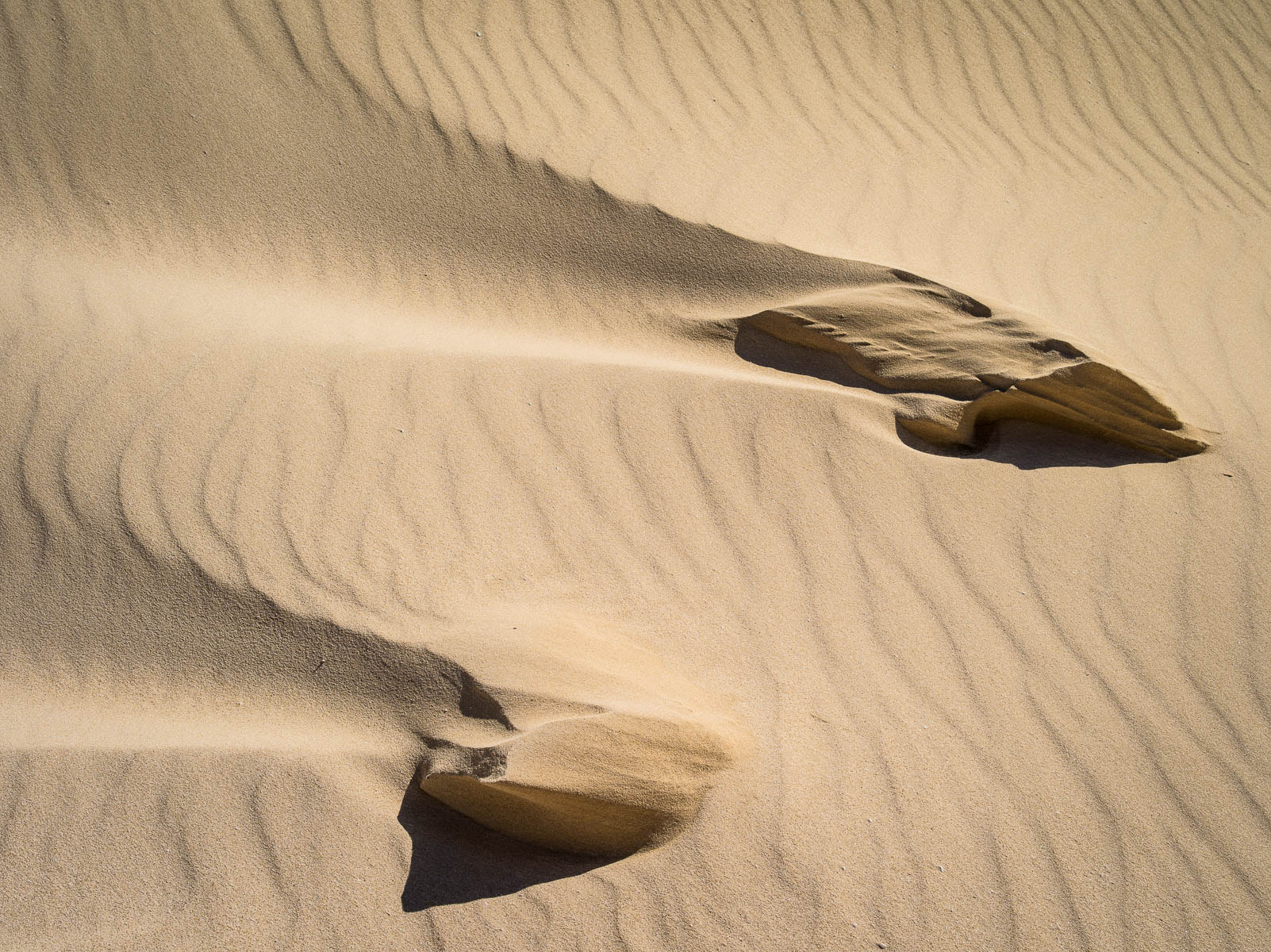 Pentax 645D sample photo. In the dunes photography