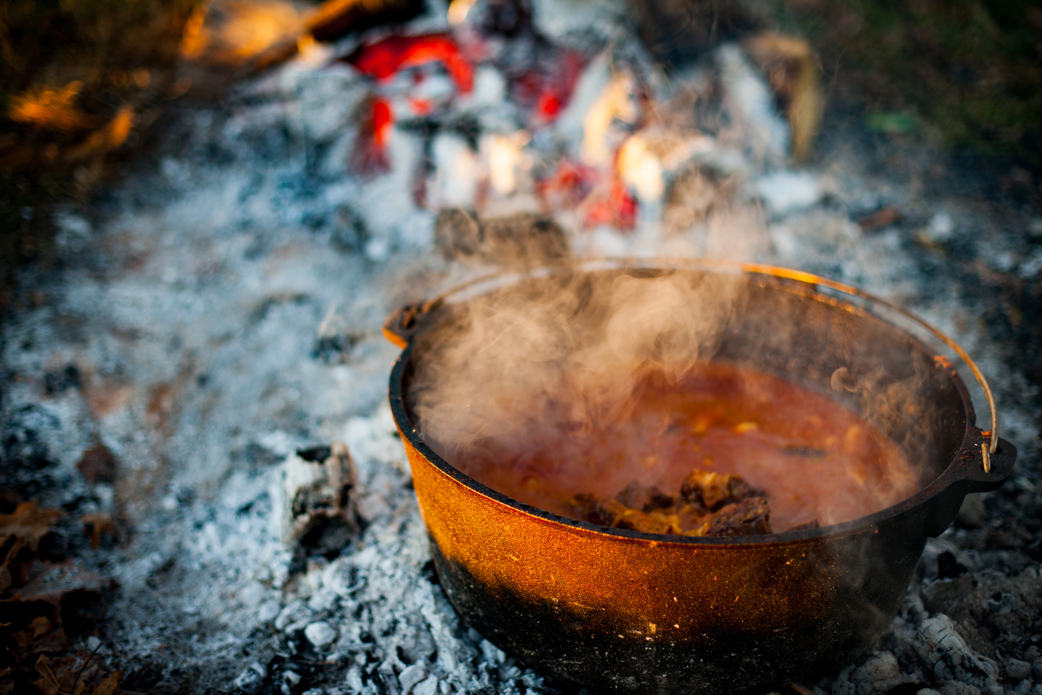 Canon EOS-1Ds Mark III + Canon EF 50mm F1.4 USM sample photo. Dutch oven cooking photography