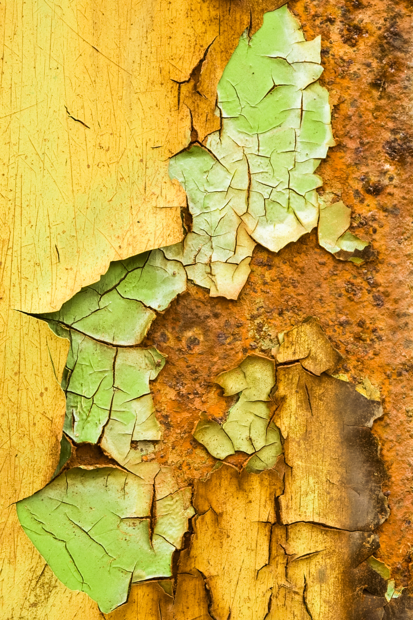 Canon EOS-1D Mark III sample photo. Rust and flaking paint 2 photography